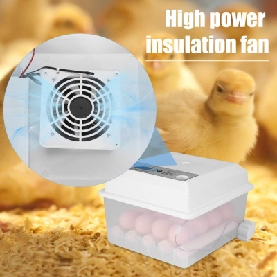 Incubadora branca para ovos com ventilador e pintos ao fundo