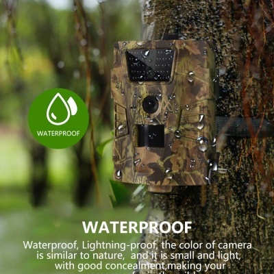 Câmara camuflada impermeável montada numa árvore com gotas de água