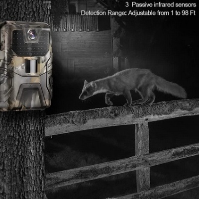 Câmara de vigilância camuflada montada numa árvore, com texto e animal na vedação em fundo escuro