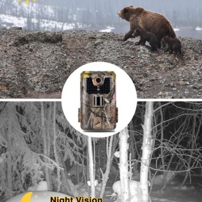 Imagem de caixa de vigilância camuflada para vida selvagem com visão diurna e noturna