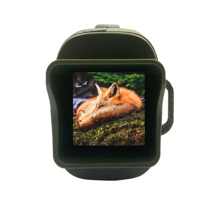 Lupa de mão verde mostrando imagem ampliada de raposa a dormir