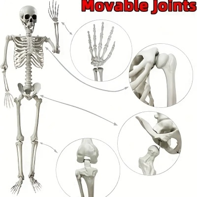 Modelo de esqueleto humano branco com articulações móveis em destaque e texto 'Movable Joints'