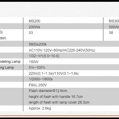 Tabela de especificações técnicas para modelos MS200 e MS300