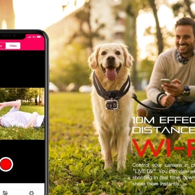 Cão com câmara pendurada e homem sentado num parque, texto promocional sobre Wi-Fi e controlo por app.