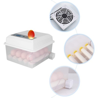 Incubadora para ovos de plástico com tampa branca e painel digital com ovos no interior