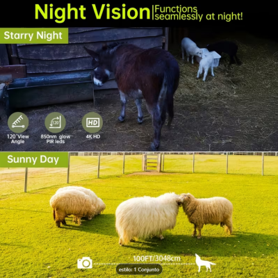Animais no campo de dia e noite com texto sobre visão noturna e distância de 100FT/3048cm