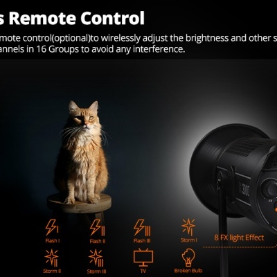 Gato sentado ao lado de equipamento de iluminação fotográfica e comando remoto preto em fundo preto