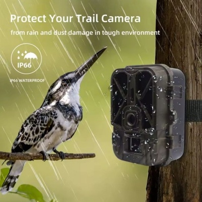 Caixa protetora preta para câmara de trilha na árvore com pássaro ao lado sob chuva