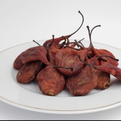 Pimentos secos castanho-avermelhados num prato branco com borda dourada