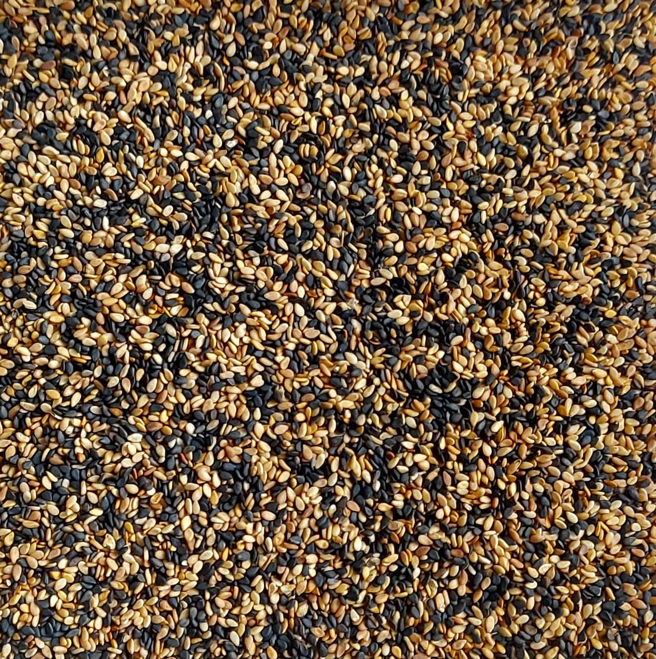 Mistura de sésamo dourado e negro Mistura de sementes castanhas e pretas vista de perto