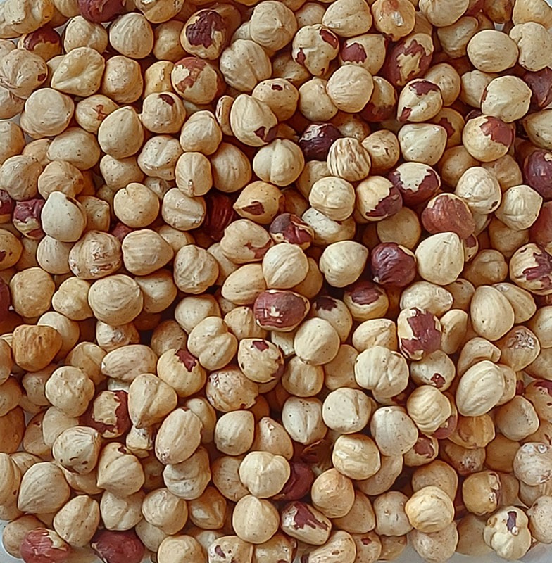 Avelã sem pele torrada azeitonas com pele castanha e bege