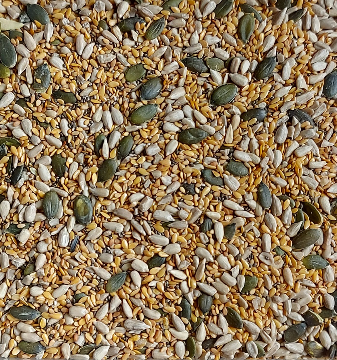 Mix Sementes - 500g Mistura colorida de sementes variadas