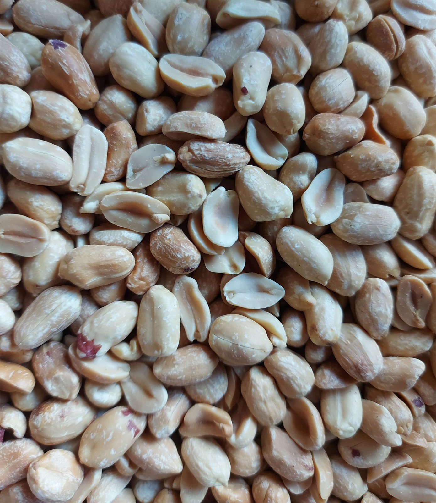 Amendoim torrado sem sal Amendoins descascados e partidos em várias partes, com cores bege e castanho, sem embalagem visível