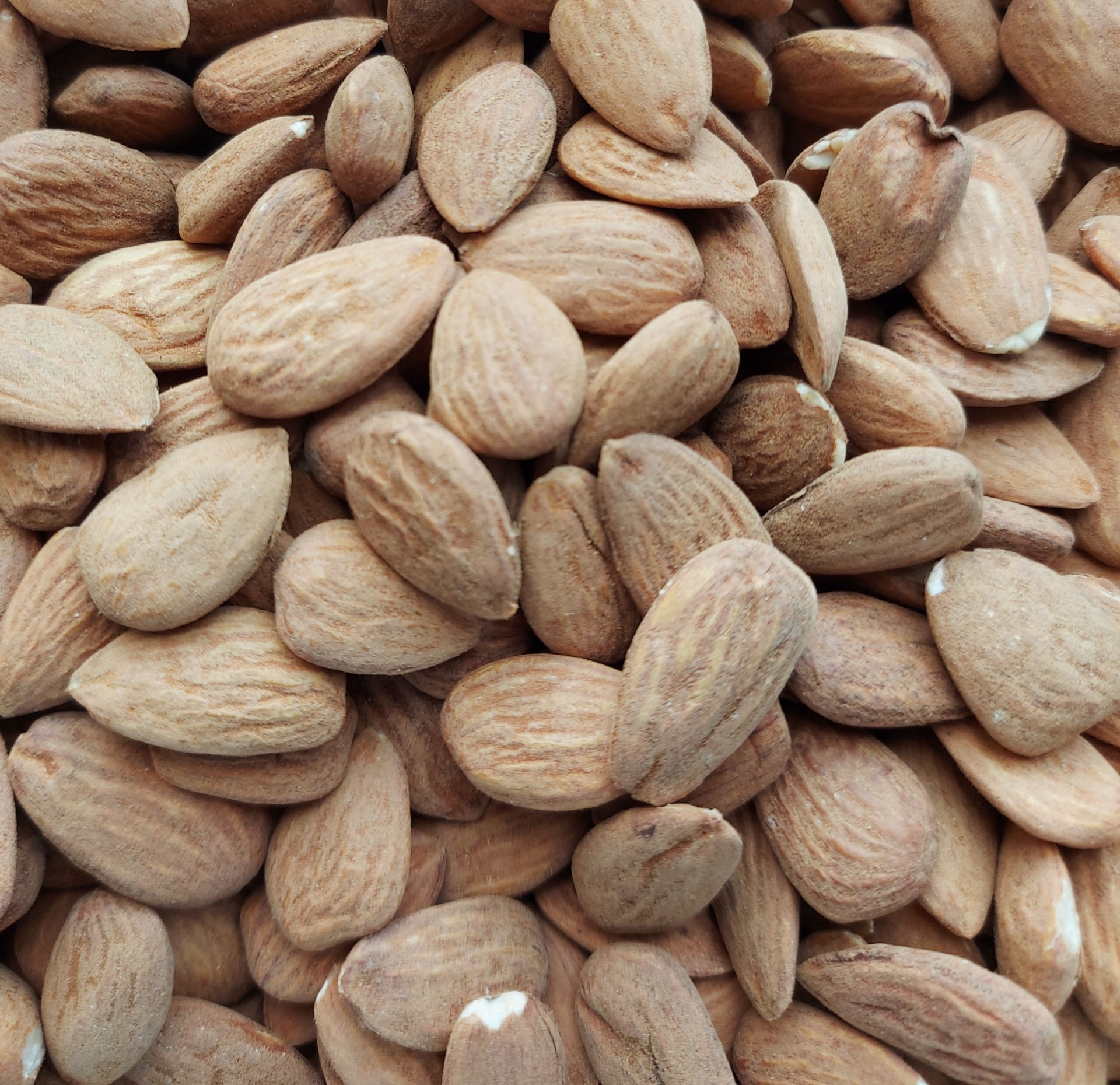 Amêndoa com pele torrada amêndoas com casca castanhas claras
