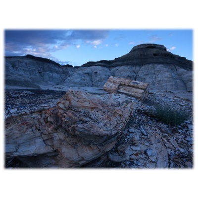 Madeira petrificada em terreno rochoso sob céu azul com nuvens.