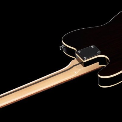 Parte traseira de guitarra elétrica com corpo e braço em madeira