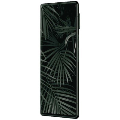 Smartphone com ecrã curvo preto e imagem de folhas de palmeira