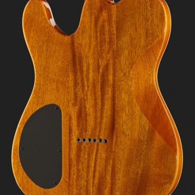 Parte de trás de guitarra elétrica em madeira castanha clara com tampa preta