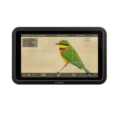 Monitor digital Atomos a mostrar um pássaro colorido no ecrã