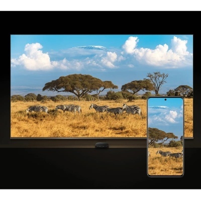 Televisor e smartphone mostrando paisagem africana com zebras e árvores