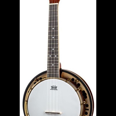 Banjo de madeira e metal com pele branca e cabeça com texto Harley Benton