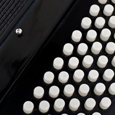 Detalhe de acordeão preto com teclas brancas redondas