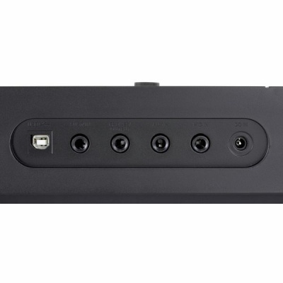 Painel traseiro preto com diversos conectores para MIDI, pedal e alimentação