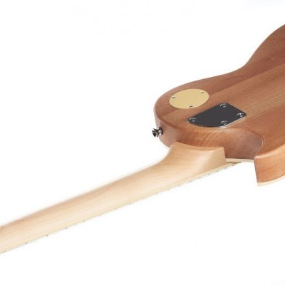 Parte traseira de guitarra elétrica em madeira castanha e clara com placa preta e tampa dourada