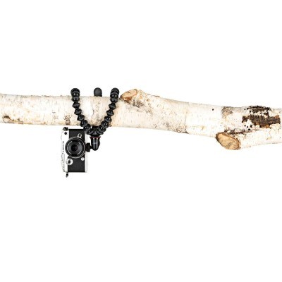 Câmera preta e branca pendurada em galho de árvore