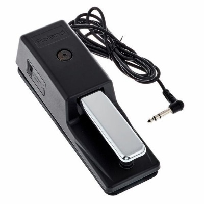Pedal de expressão Roland preto com pedal cromado e cabo