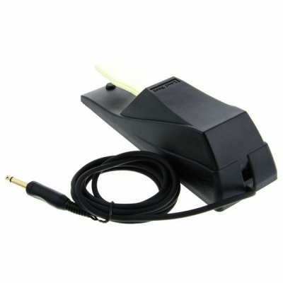 Pedal de expressão musical preto com cabo e ficha jack em fundo branco