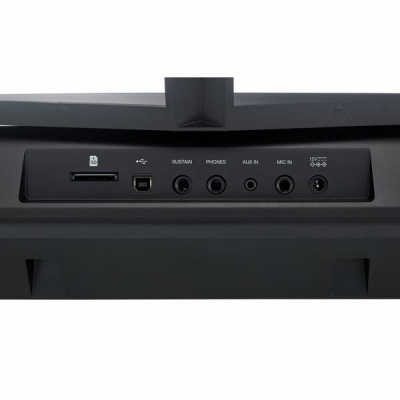 Painel traseiro com várias entradas e conectores pretos