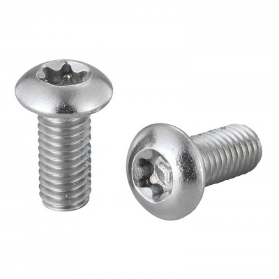 Parafusos metálicos prateados com cabeça redonda e encaixe torx