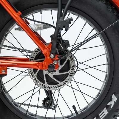 Roda traseira de bicicleta com pneus KENDA e disco de travão