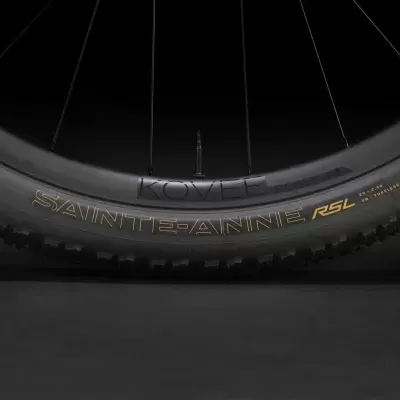 Pneu de bicicleta todo-o-terreno preto com inscrição dourada SAINT ETANNE RSL
