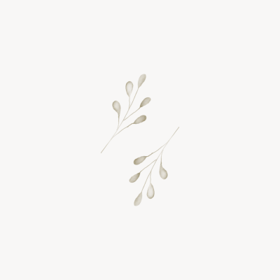 Dois ramos secos com folhas pequenas em tons bege