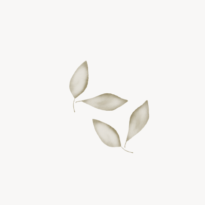 Folhas minimalistas em tons bege com textura aquarela