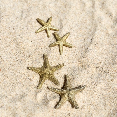 Quatro estrelas-do-mar douradas na areia clara