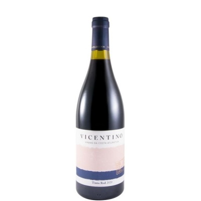 Garrafa de vinho tinto Vicentino com rótulo colorido em branco, rosa e azul