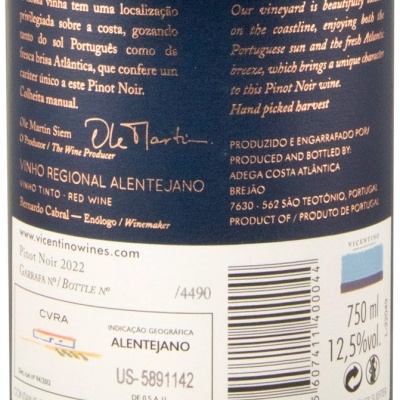 Etiqueta de vinho tinto Pinot Noir 2022 com descrição da origem e informações da garrafa