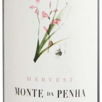 Rótulo vinho Monte da Penha com flor e texto