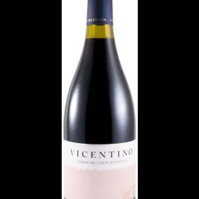 Garrafa de vinho tinto Vicentino 2020 com rótulo branco e elementos azuis, cápsula azul escura