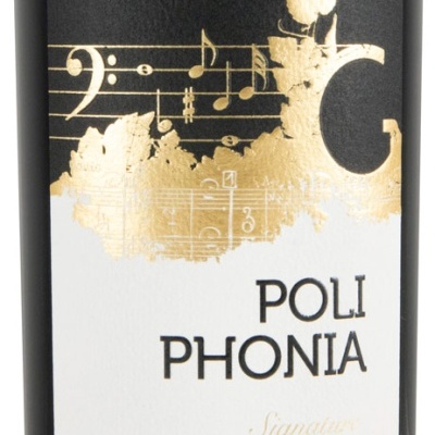 Rótulo de vinho tinto POLI PHONIA com design musical dourado e texto em português.