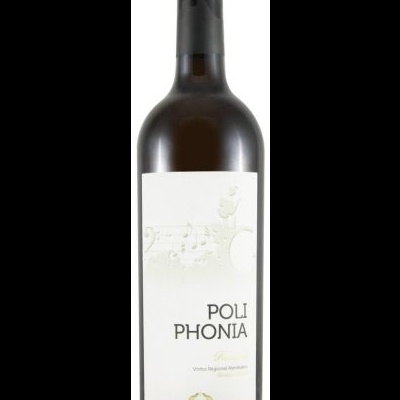 Garrafa de vinho tinto Poli Phonia com rótulo branco e cápsula preta