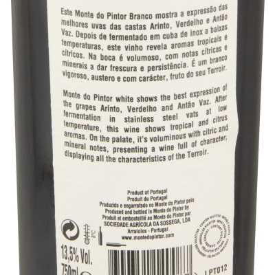 Rótulo de vinho branco Monte do Pintor com texto informativo em português e inglês
