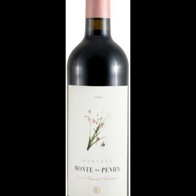 Garrafa de vinho tinto Monte da Penha com rótulo branco e rosas