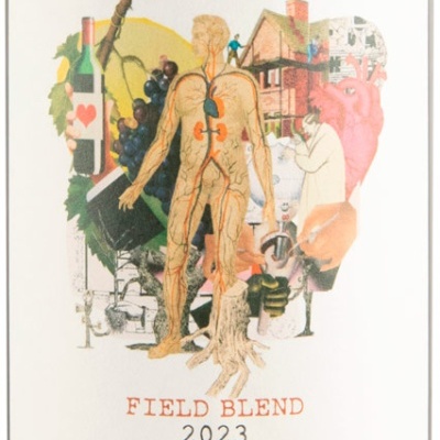 Rótulo de vinho Implante Field Blend 2023 Tinto DOC Alentejo com ilustrações anatómicas e elementos vinícolas.