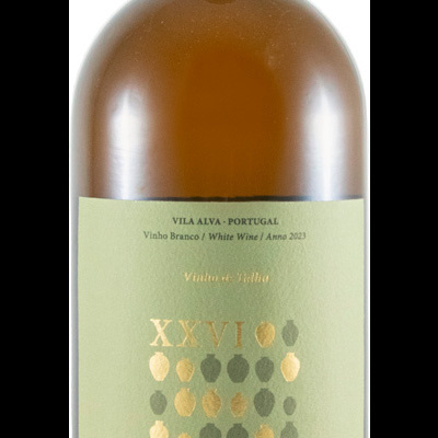 Garrafas de vinho branco Mestre Daniel com rótulo verde claro e texto em português e inglês