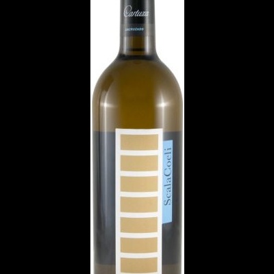 Garrafa de vinho Scala Coeli com rótulo branco e dourado