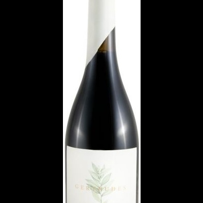 Garrafa de vinho escuro com rótulo branco e folha verde